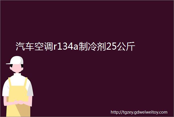 汽车空调r134a制冷剂25公斤